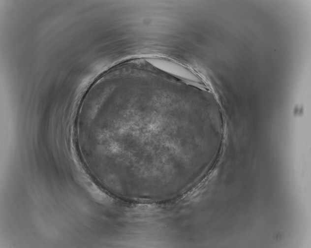 X0000091690145200709061132