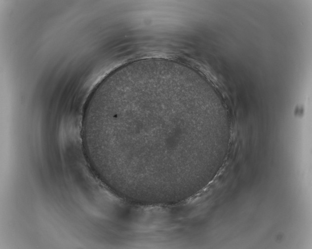 X0000091690146200709061132