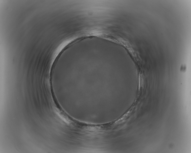 X0000091690147200709061132