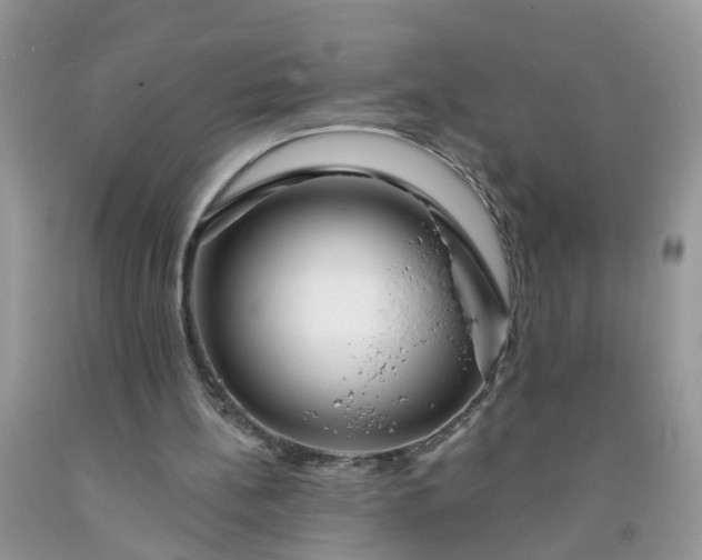 X0000091690148200709061132