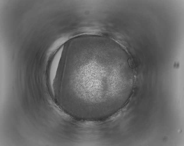 X0000091690149200709061132