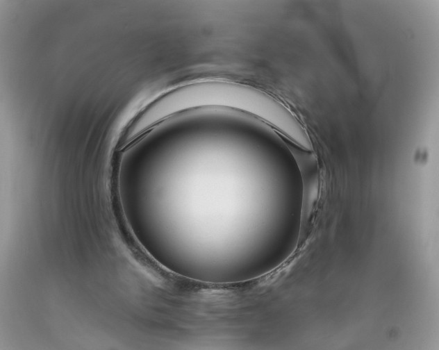 X0000091690150200709061132