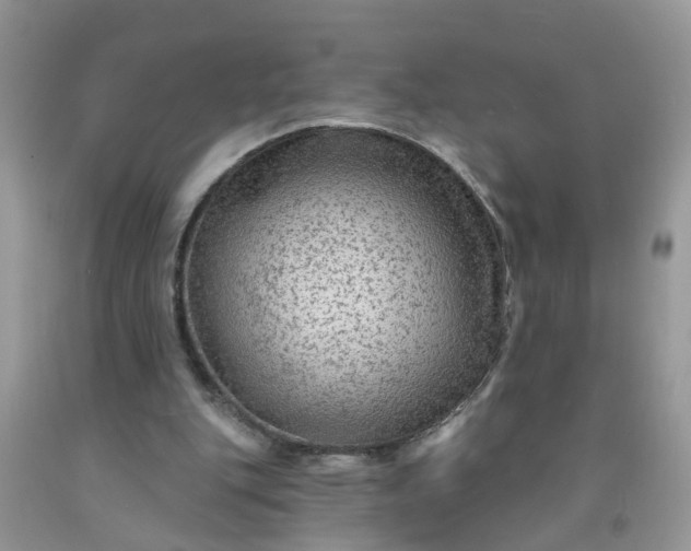 X0000091690151200709061132