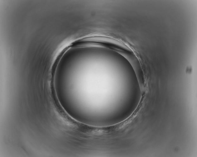 X0000091690152200709061132