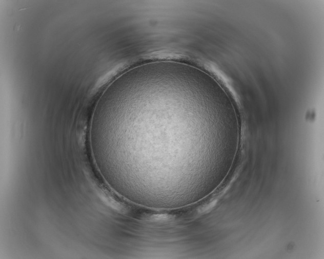 X0000091690153200709061132