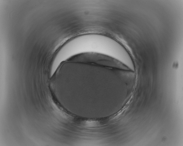 X0000091690154200709061132