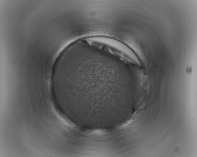 X0000091690156200709061132