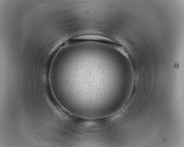 X0000091690158200709061132