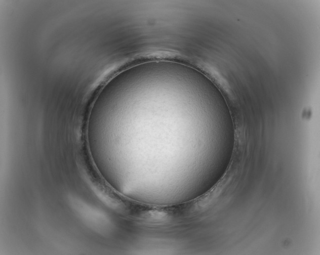 X0000091690159200709061132