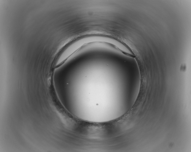 X0000091690160200709061132