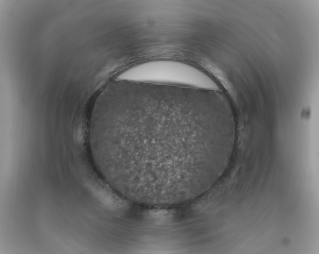 X0000091690161200709061132