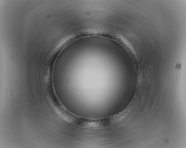 X0000091690163200709061132