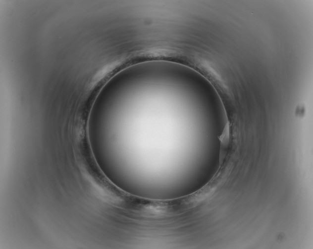 X0000091690164200709061132