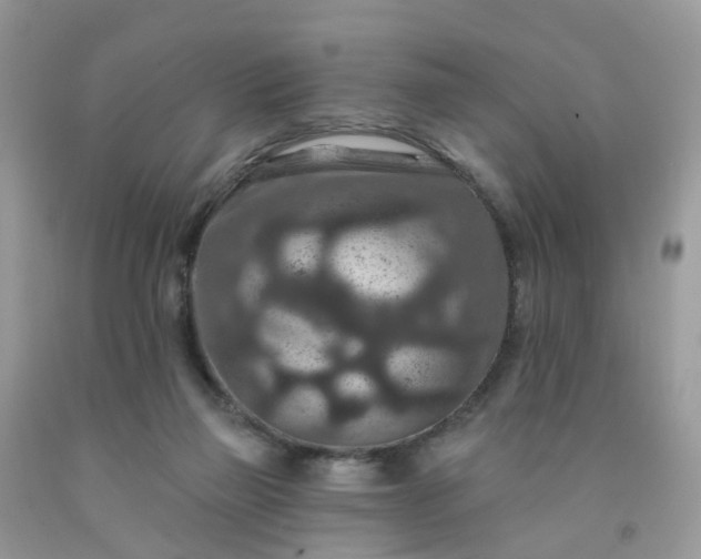 X0000091690165200709061132