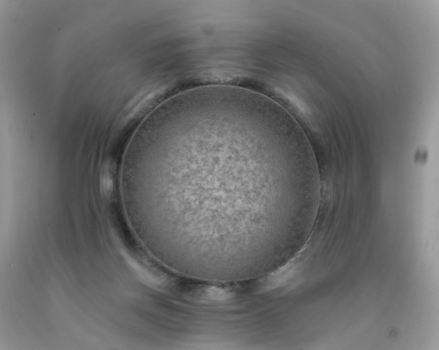 X0000091690166200709061132