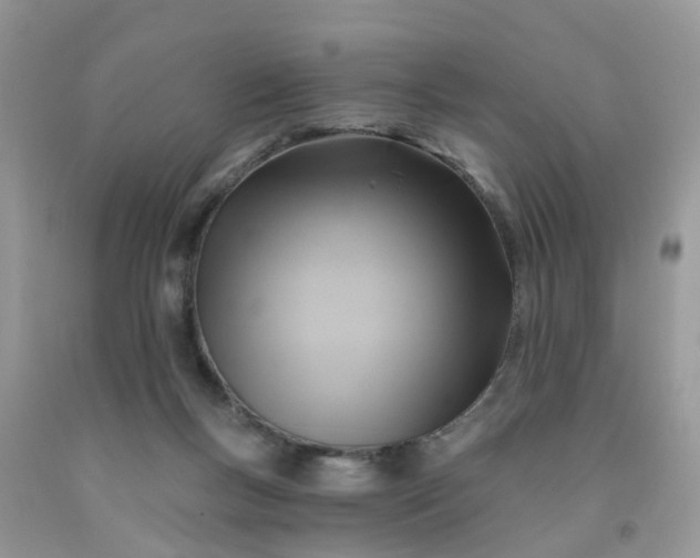 X0000091690167200709061132