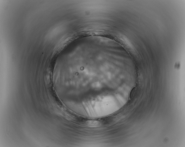 X0000091690169200709061132