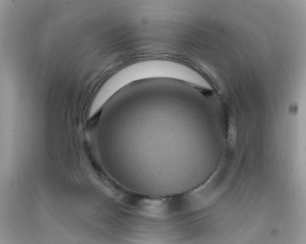 X0000091690170200709061132