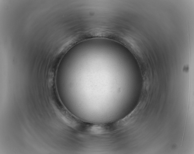 X0000091690171200709061132