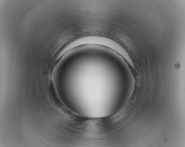 X0000091690172200709061132