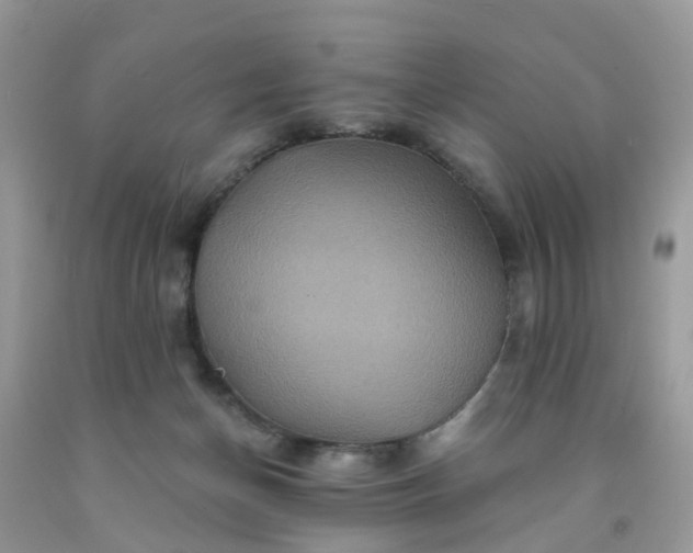 X0000091690174200709061132