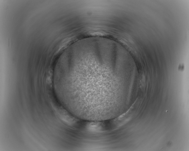 X0000091690175200709061132