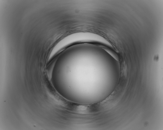 X0000091690176200709061132