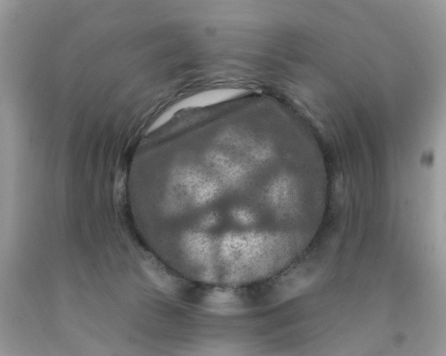 X0000091690177200709061132