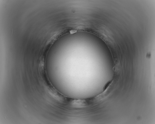 X0000091690179200709061132