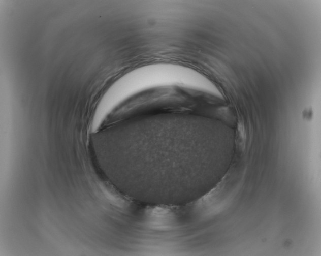 X0000091690180200709061132