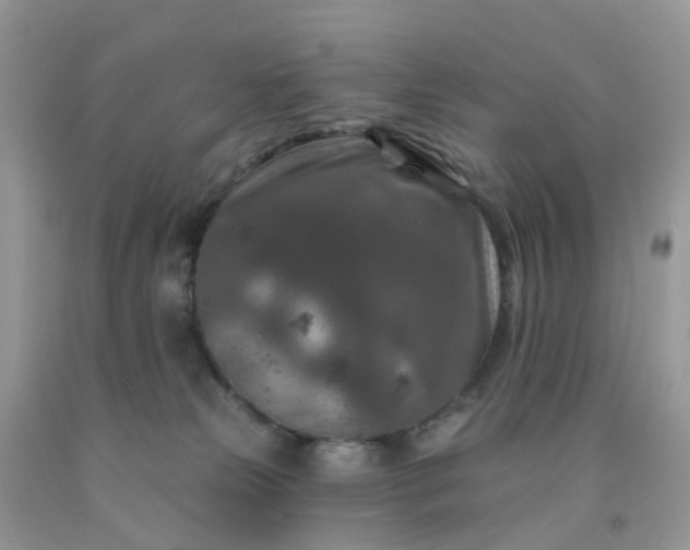 X0000091690181200709061132