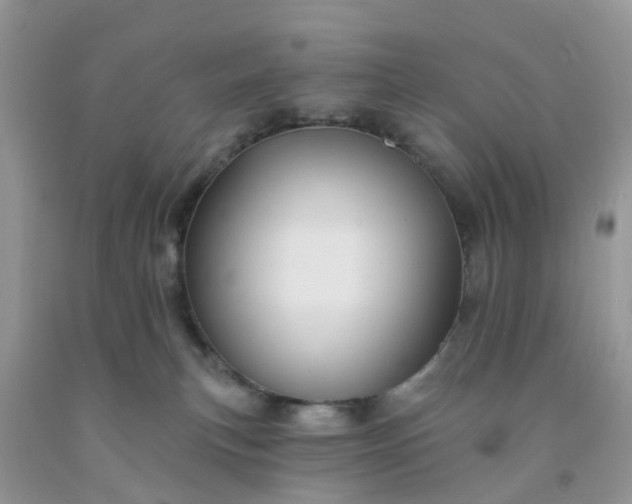 X0000091690183200709061132