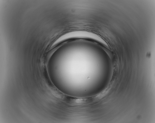 X0000091690184200709061132