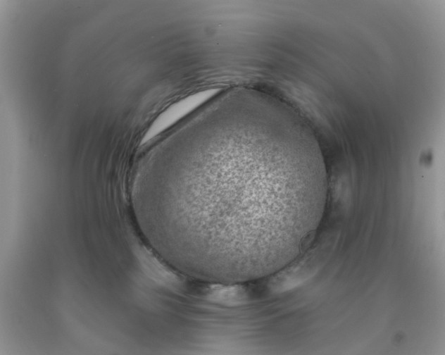 X0000091690185200709061133