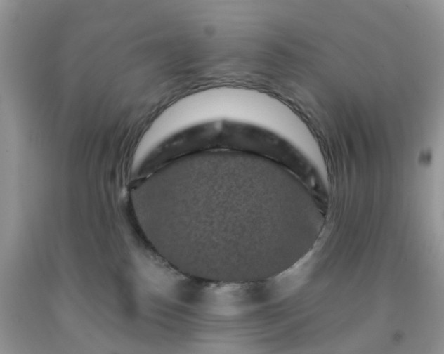 X0000091690186200709061133