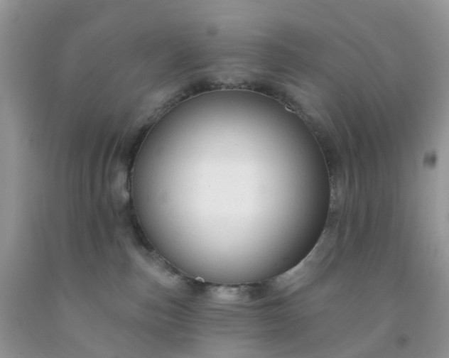 X0000091690187200709061133