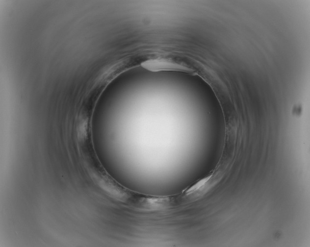 X0000091690188200709061133