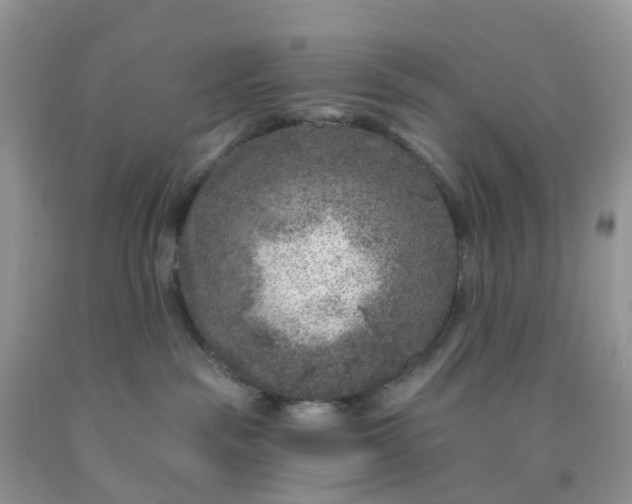 X0000091690189200709061133