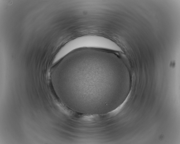 X0000091690190200709061133