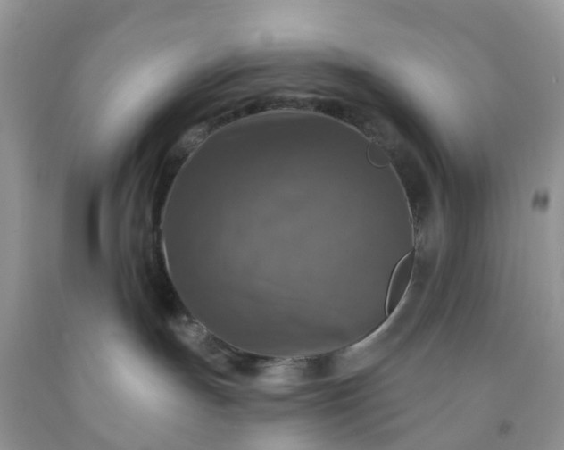 X0000091690191200709061133