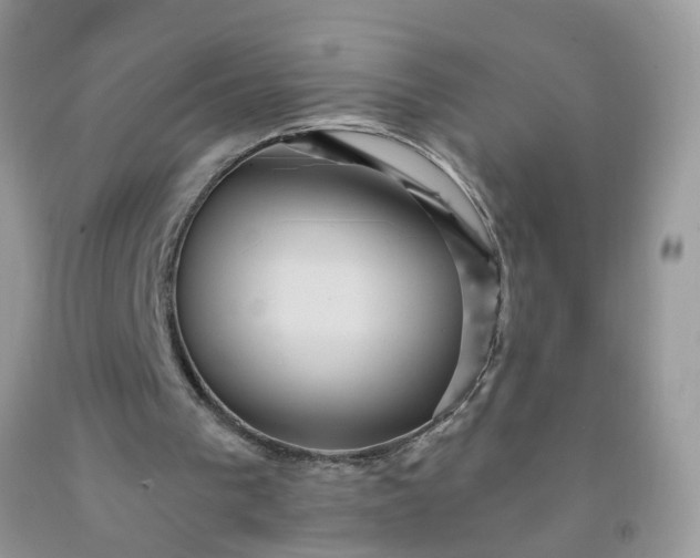 X0000091690193200709061132