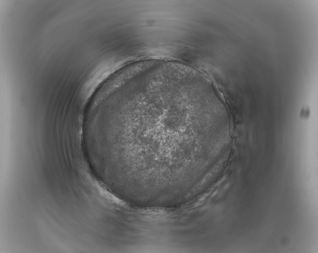 X0000091690194200709061132