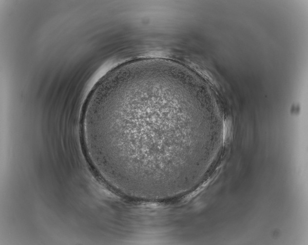 X0000091690195200709061132