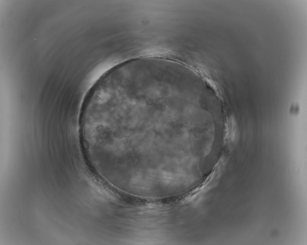 X0000091690196200709061132