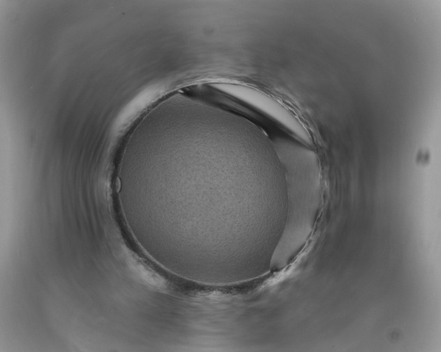 X0000091690197200709061132