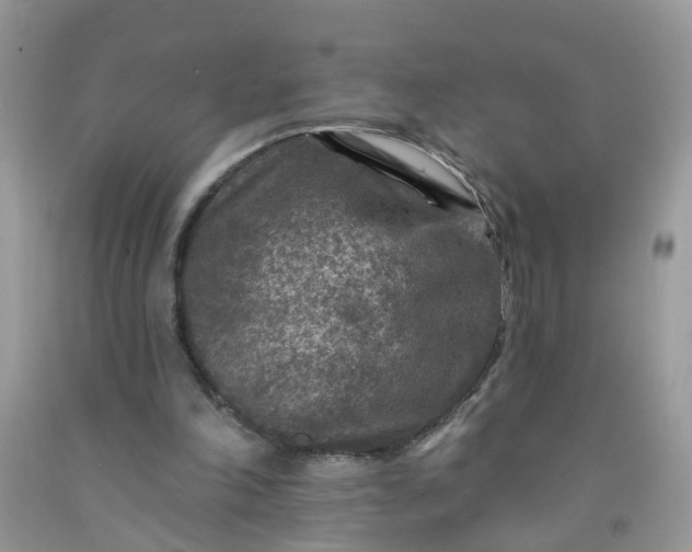 X0000091690198200709061132