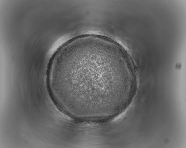 X0000091690199200709061132