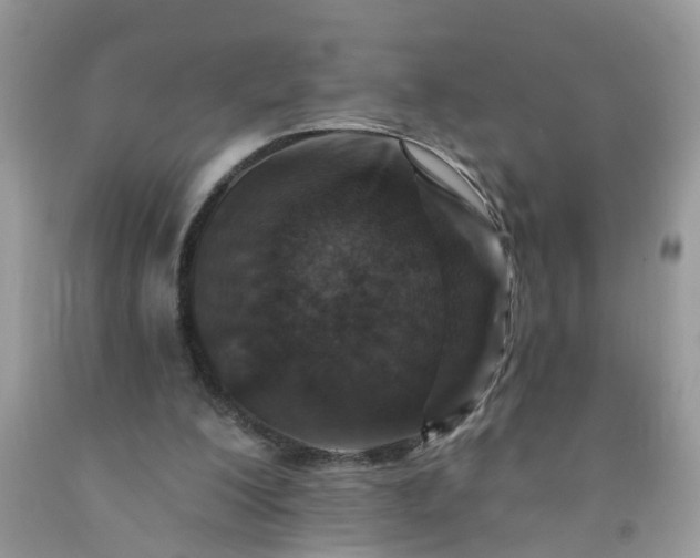 X0000091690200200709061132