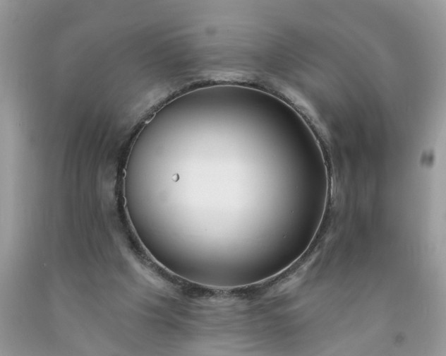 X0000091690201200709061132