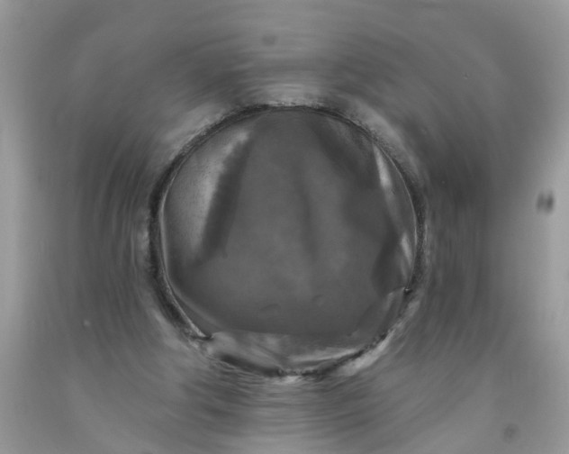 X0000091690202200709061132